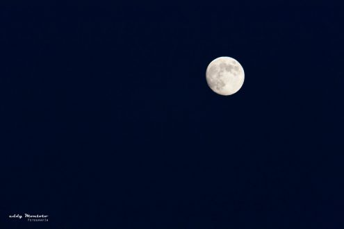 Luna finalizando el cuarto creciente